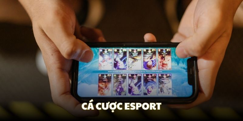 Trải nghiệm thể thao Esport đầy màu sắc