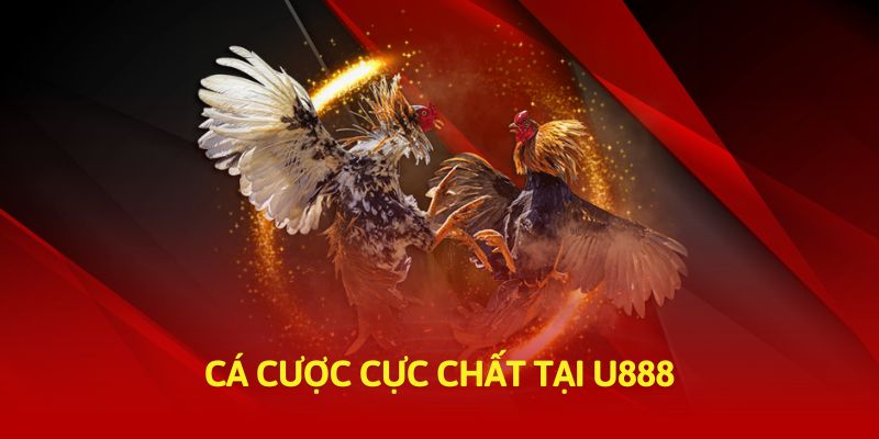 Cá cược cực chất tại U888