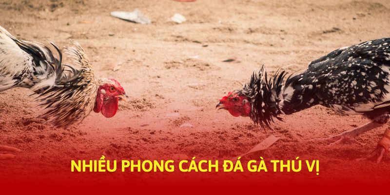 Nhiều phong cách đá gà thú vị