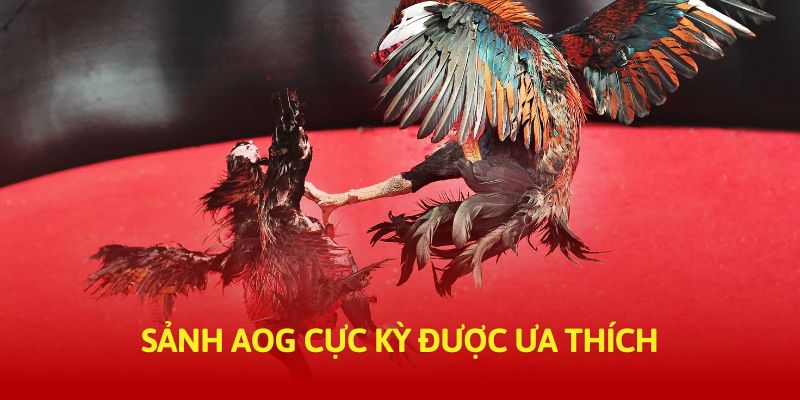 Sảnh AOG cực kỳ được ưa thích