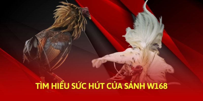 Tìm hiểu sức hút của sảnh W168